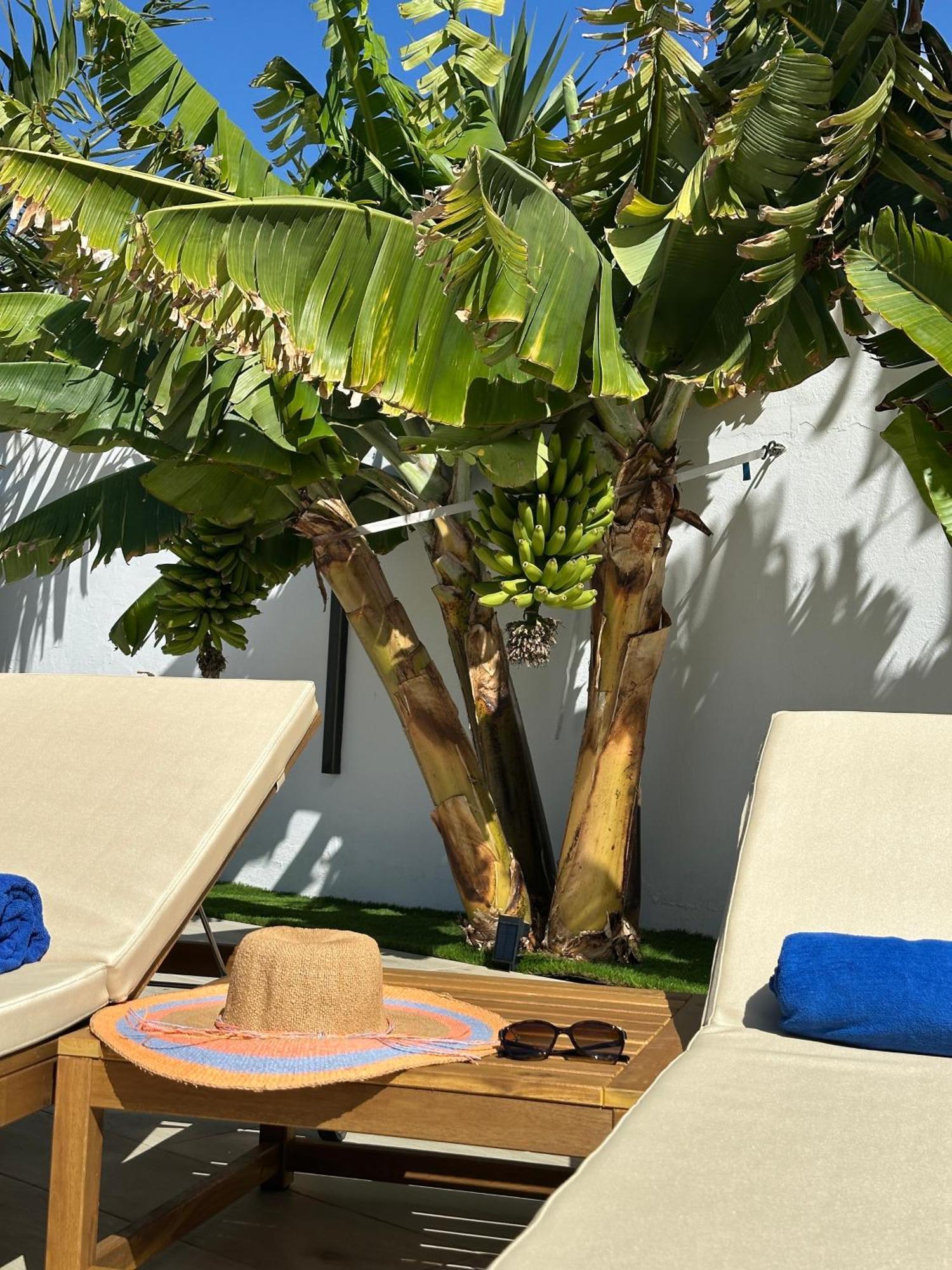 Villa Playa Blanca - Heated Pool, Aircon Eksteriør billede